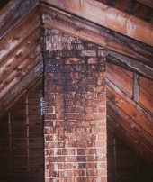 bat urine stained chimney