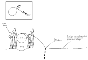 Figure 9. Live snare with washer lock brush and other entanglements from the area.