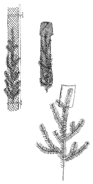 Figure 13. Vexar® tubes (left), or netting (middle) can protect seedlings. Bud caps (right) have also been used successfully.