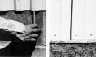 Figure 12. Metal siding may provide entry points for mice and rats where panel ends are left open (left). Properly installed metal siding rests on the concrete floor or has metal flashing or angle iron to block entry (right).