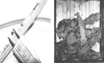 Figure 1. (a) Electrical cord of a freezer in a retail market, severely damaged by house mice; (b) fiberglass batt insulation within walls of a hog finishing house near Lincoln, Nebraska, was destroyed by house mice in less than 3 years.