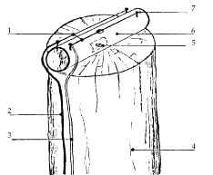 Figure 3. The electric pole shocker. image description