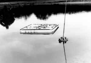 Figure 5. Examples of a 4-foot (1.2-m) square raft (left) and a 6-inch (15.2-cm) square baiting board, which are used to concentrate nutria for shooting, trapping, or poisoning. These baiting platforms are constructed of plywood and styrofoam and baited with sweet potatoes.
