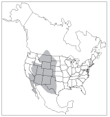 Figure 2. Range of the pronghorn in North America.